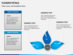 Flower petals PPT slide 3