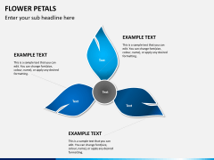 Flower petals PPT slide 4