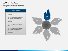 Flower petals PPT slide 5