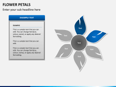 Flower petals PPT slide 6