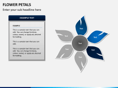 Flower petals PPT slide 7