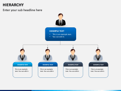 Hierarchy PPT slide 2