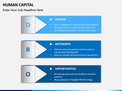 Human Capital PPT slide 19