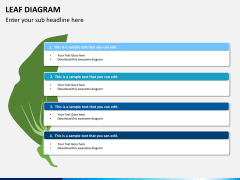 Leaf diagram PPT slide 3