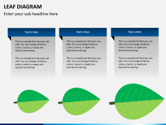 Leaf diagram PPT slide 5