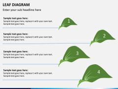 Leaf diagram PPT slide 6