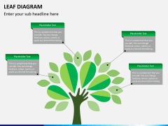 Leaf diagram PPT slide 8