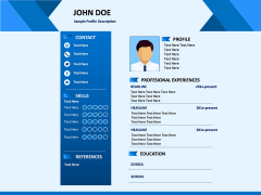 Professional Resume PPT slide 1