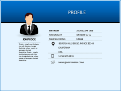 Professional Resume PPT slide 7