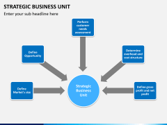 Strategic business unit PPT slide 12