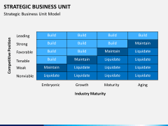 Strategic business unit PPT slide 14