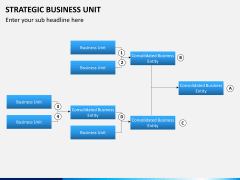Strategic business unit PPT slide 15