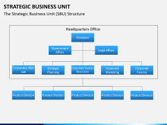 Strategic business unit PPT slide 3