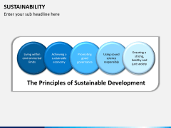 Sustainability PPT slide 8