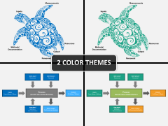 Turtle Diagram PPT cover slide