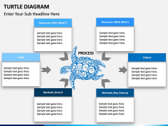 Turtle Diagram PPT slide 4
