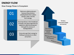 Energy Flow PPT Slide 2