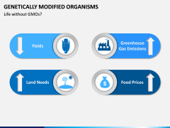 Genetically Modified Organisms (GMO) PPT Slide 9