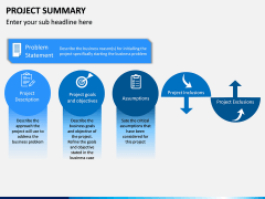 Project Summary PPT Slide 3