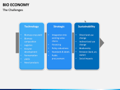 Bio Economy PPT Slide 16