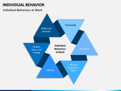 Individual Behavior PPT Slide 10