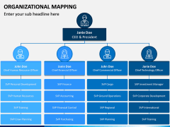 Organizational Mapping PPT Slide 4