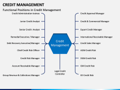Credit Management PPT slide 2