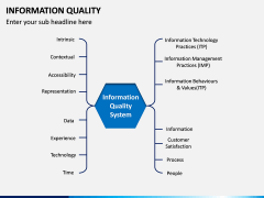 Information Quality PPT Slide 10