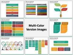 High Level Structure PPT Slide MC Combined