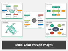 Turtle Diagram multicolor combined