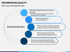 Information Quality PPT Slide 8