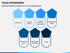 Tissue Engineering PPT Slide 13