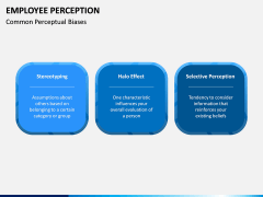 Employee Perception PPT Slide 10