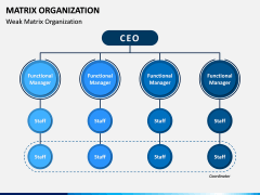 Matrix Organization PPT Slide 9