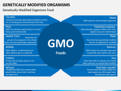 Genetically Modified Organisms (GMO) PPT Slide 6