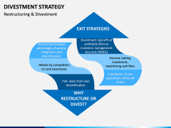 Divestment Strategy PPT Slide 14