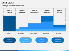 Life Stages PPT Slide 7