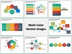 SQERT Project Management MC Combined