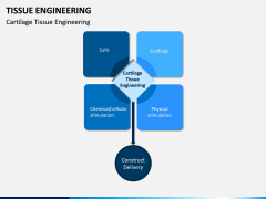 Tissue Engineering PPT Slide 11