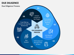 Due Diligence PPT Slide 3