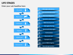Life Stages PPT Slide 2