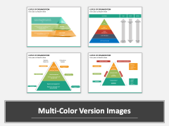 Levels of Organization PPT MC Combined