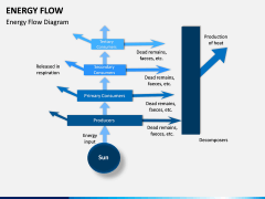 Energy Flow PPT Slide 8