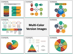Test Management PPT slide MC Combined