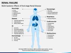 Renal Failure PPT Slide 12