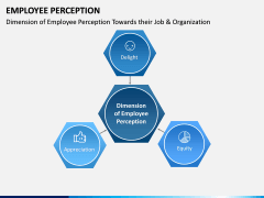 Employee Perception PPT Slide 6