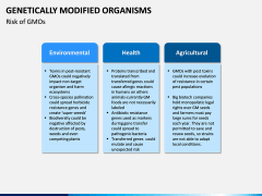 Genetically Modified Organisms (GMO) PPT Slide 8