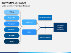 Individual Behavior PPT Slide 11