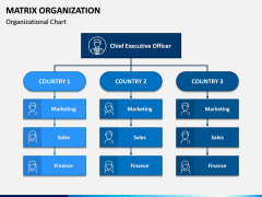 Matrix Organization PPT Slide 3
