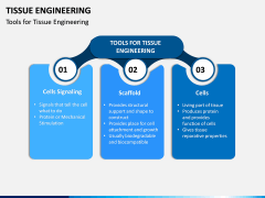 Tissue Engineering PPT Slide 5